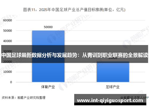 中国足球最新数据分析与发展趋势：从青训到职业联赛的全景解读